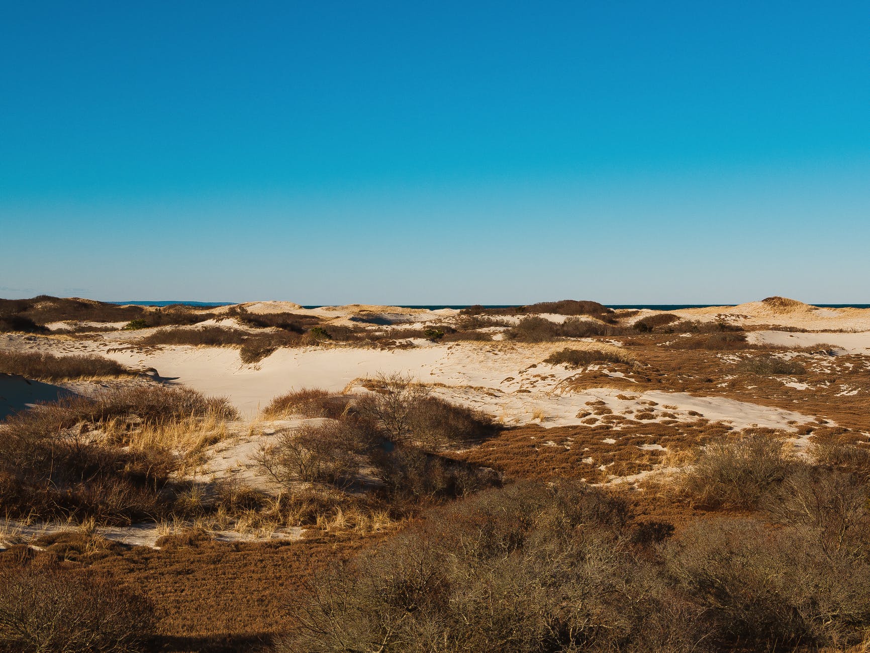 The dunes of Cape Cod, the setting of The Paper Palace