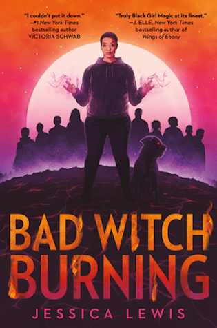 YA Books About Witches: Bad Witch Burning