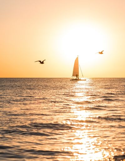 Photo of a sailboat in the sea during sunset. 