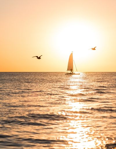 Photo of a sailboat in the sea during sunset.
