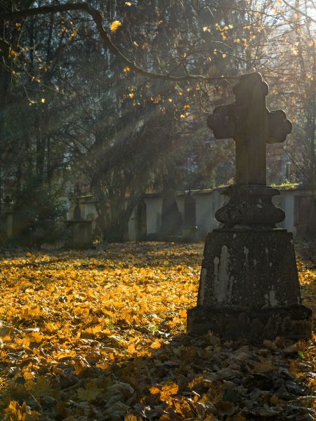 Photo of a large tombstone sitting amidst fall leaves in a cemetery