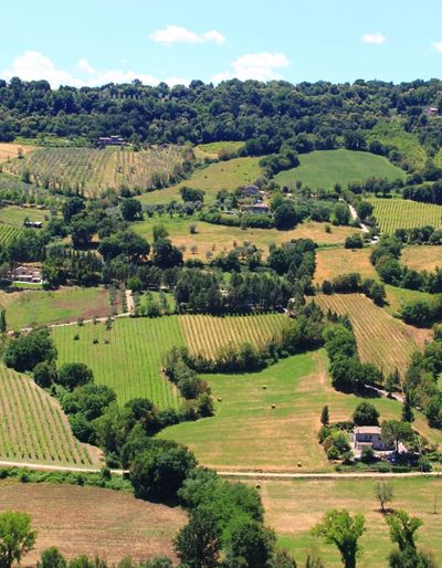Photo of the countryside in Orvieto - rolling green hills and some houses. 