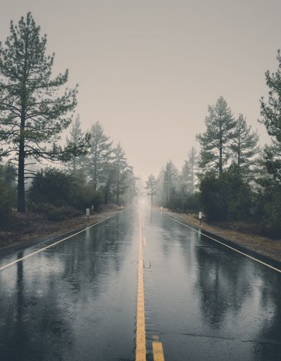 A wet and rainy road in the forest