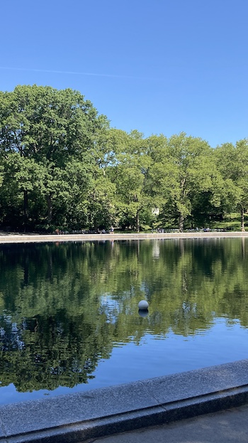 Photo of the Conservatory Water in Central Park by Jen Ryland LLC.