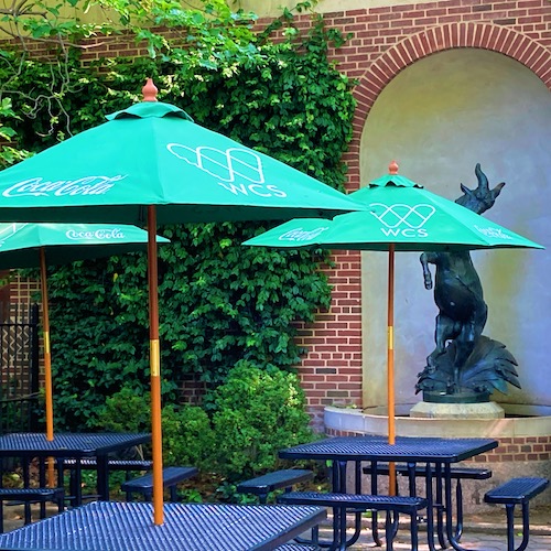 Photo of the The Dancing Frog Case at the Zoo in Central Park. Photo by Jen Ryland LLC. Photo shows black metal tables with green canvas umbrellas.