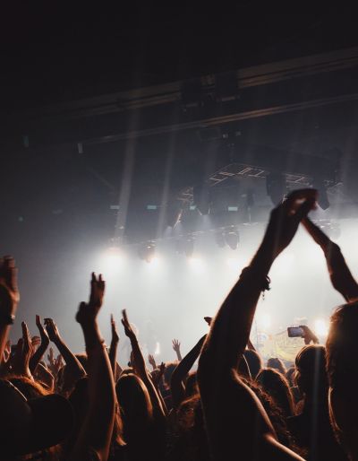 Photo of fans cheering at a concert