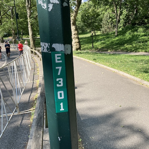 Photo of a green street lamp with numbers on it saying E7301. Photo by Jen Ryland LLC.