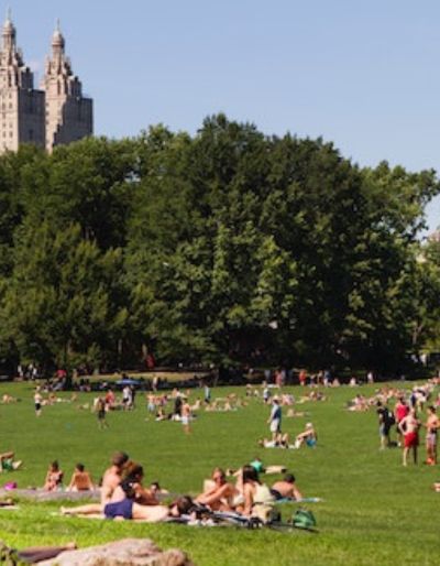 Photo of the Sheep Meadow in Central Park. Photo by Pexels. Photo shows people lounging on the grass with the city skyline in the background.