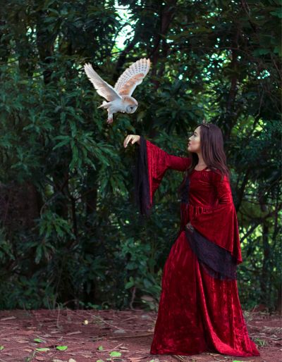 Woman in a red medieval gown with a falcon