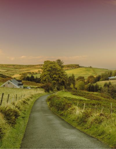 A road leading through a green landscape. Irish countryside.