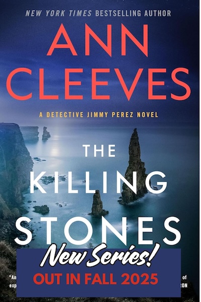 Cover of the Killing Stones which shows a Scottish coast at night