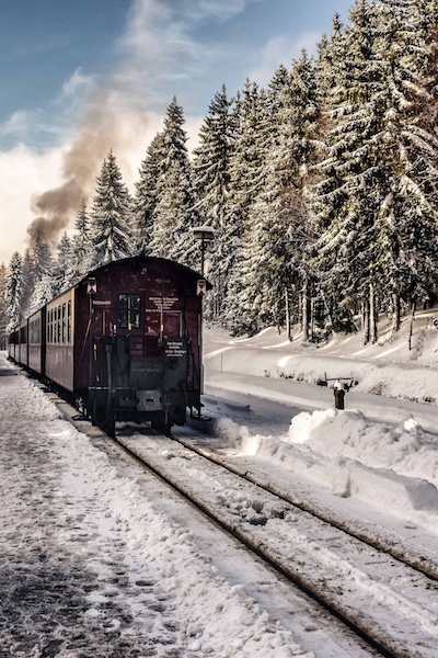 Photo of a train in a snowy landscape with pine trees