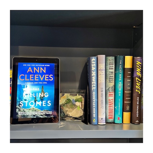 Original photo of The Killing Stones on a book shelf with books and a glass container of beach glass and shells