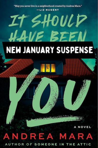 Cover of It Should Have Been You: a new January Suspense Book