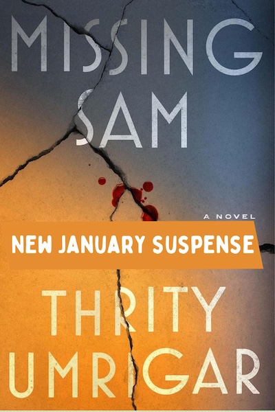 Cover of Missing Sam: a new January Suspense Book