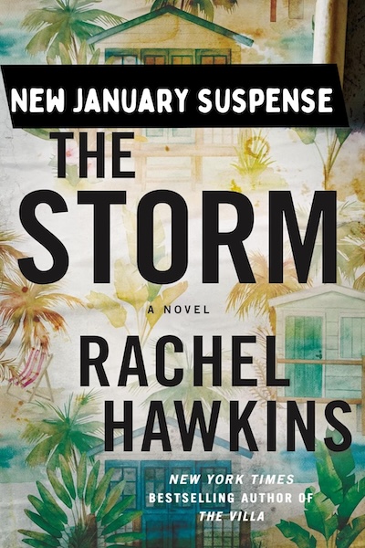 Cover of The Storm:  a new January Suspense Book