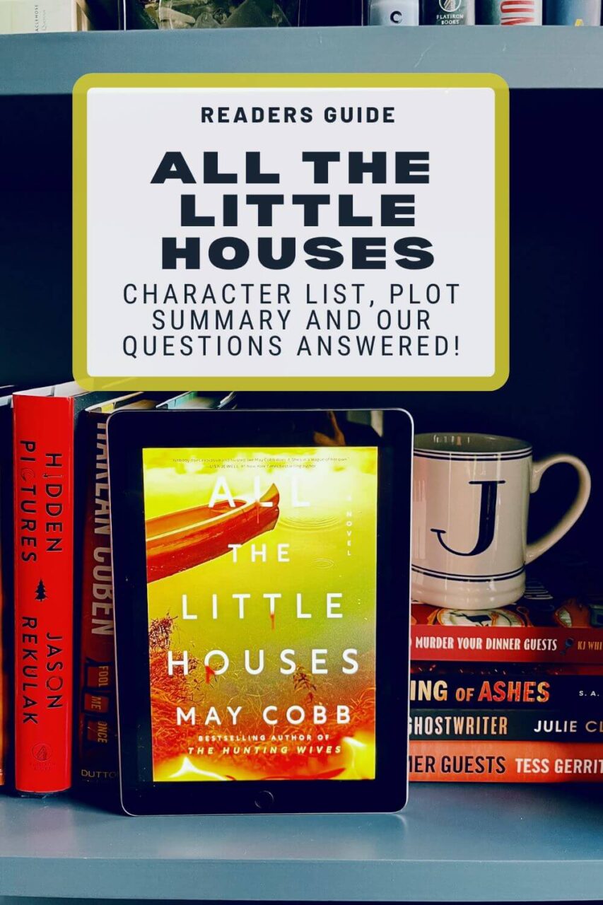 Picture of All the Little Houses on a shelf next to a J mug