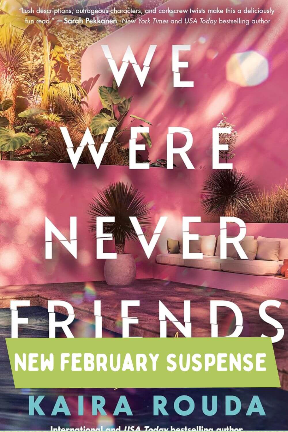Readers Guide to We Were Never Friends