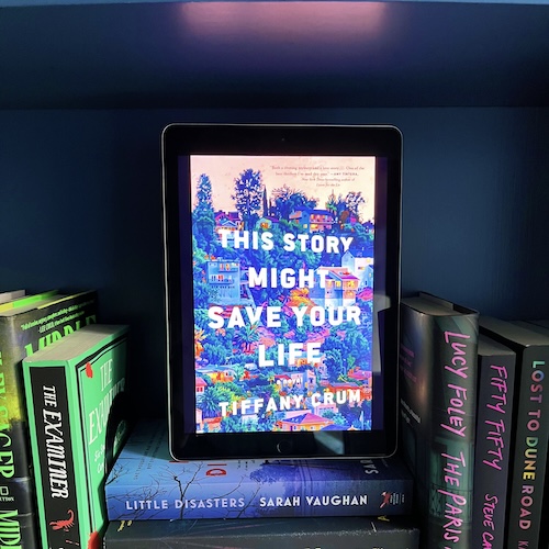 Ebook of This Story Might Save Your Life on a blue shelf near other pink and green books