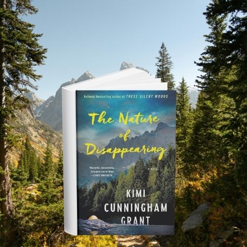 The cover of The Nature of Disappearing which shows a mountain landscape