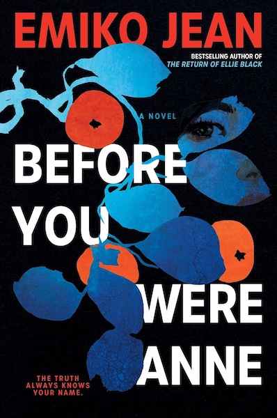 Cover of Before You Were Anne which shows a graphic blue and red floral design